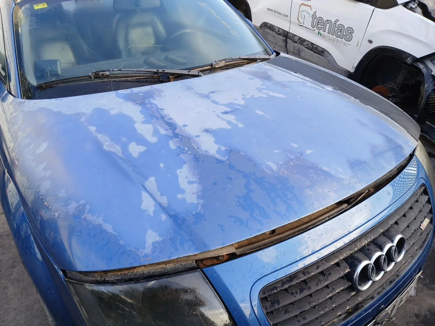 Capot para Audi Tt (8N3)