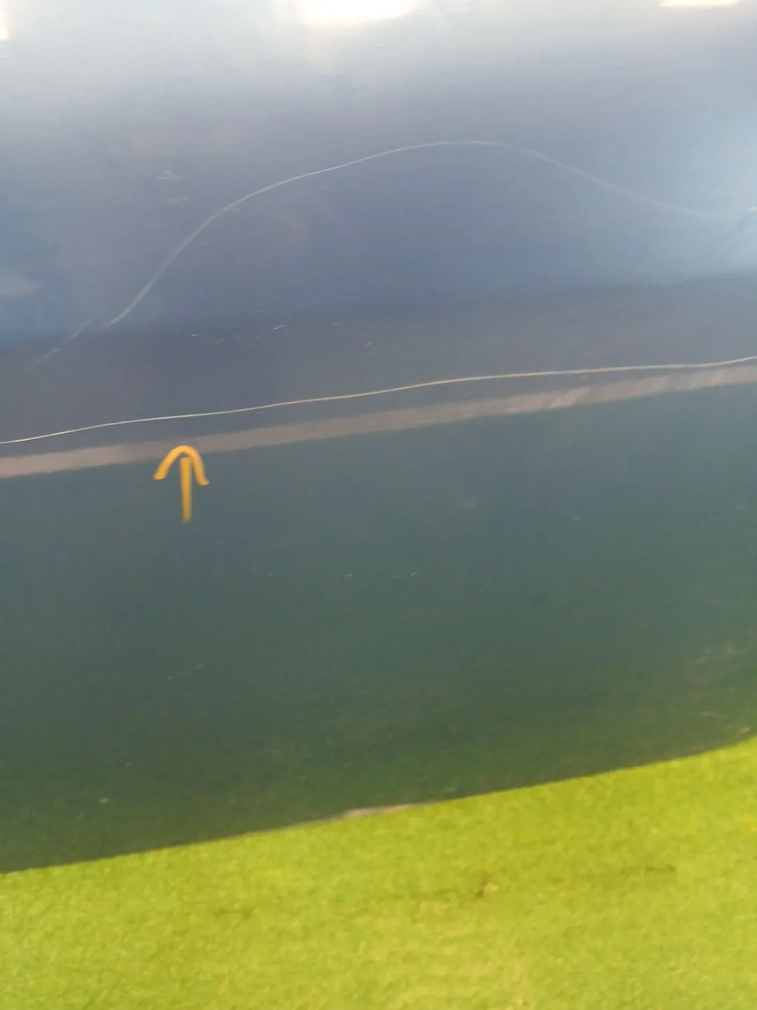 Puerta Delantera Izquierda para Audi Tt (8N3)