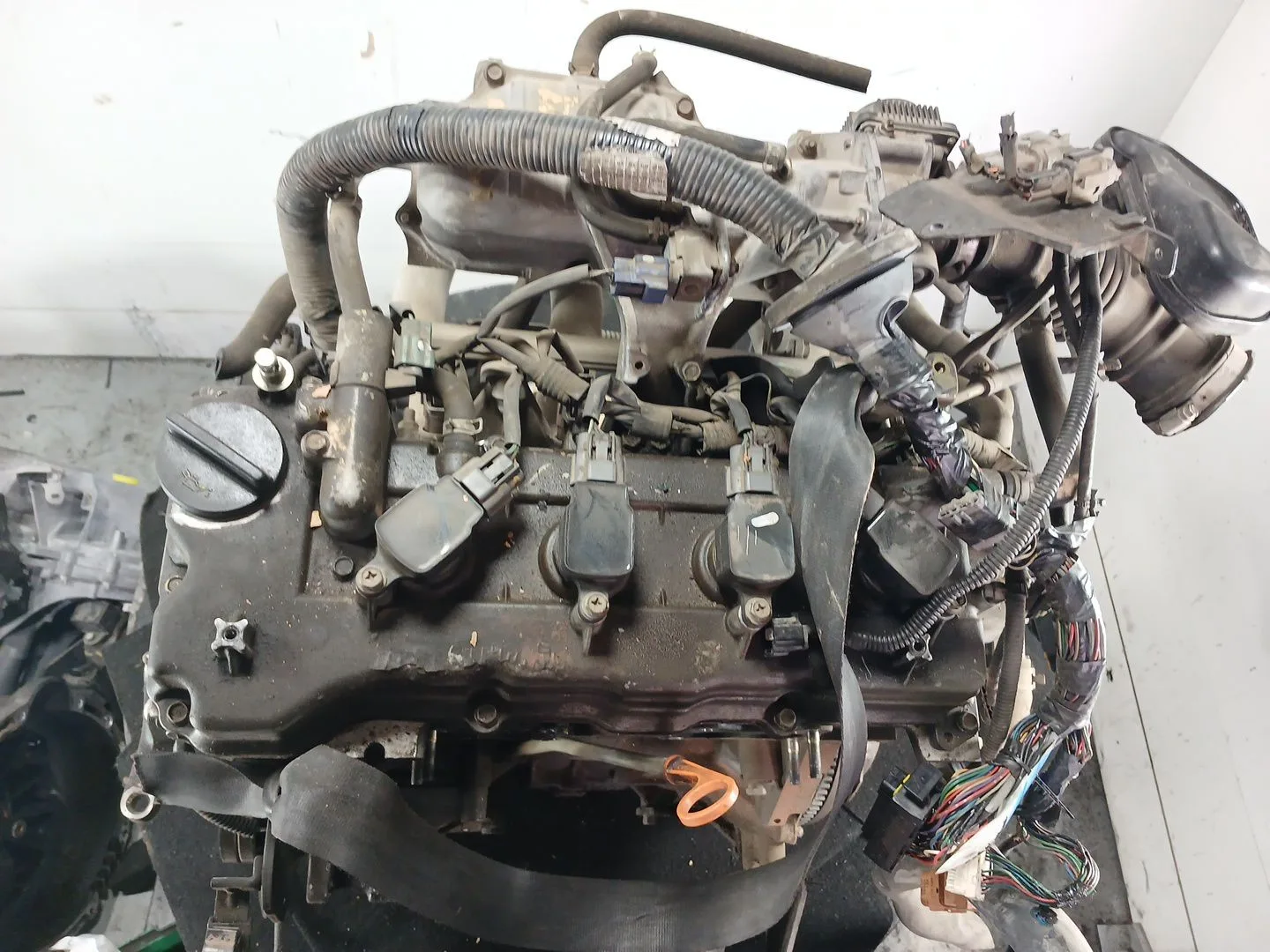 Motor Completo para Nissan Primera (P12)