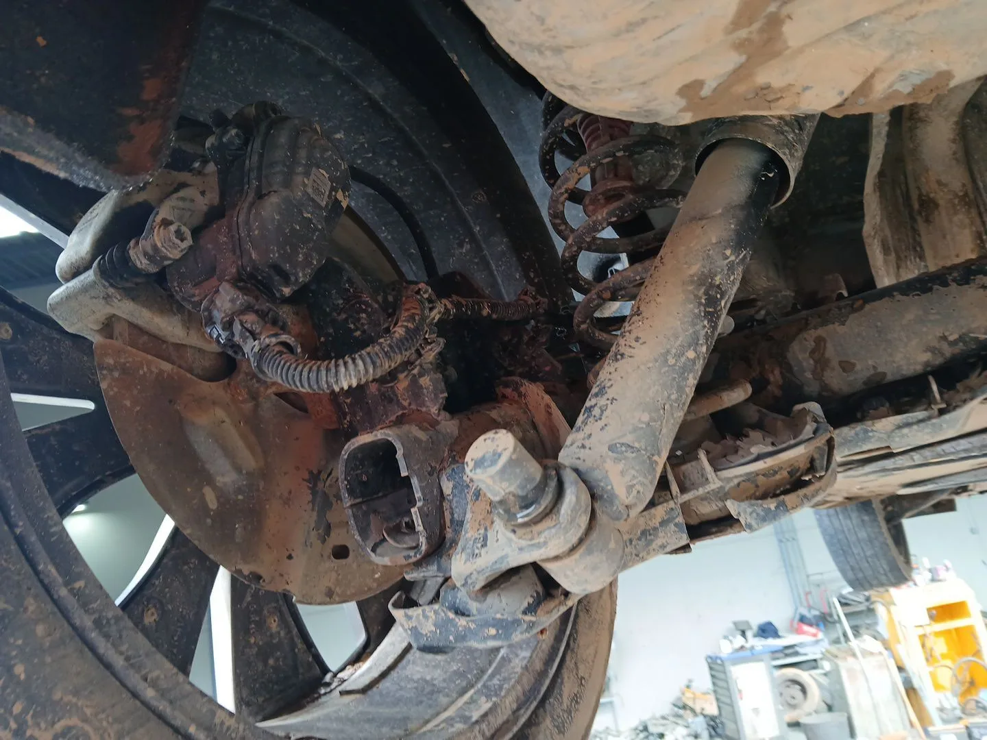 Puente Trasero para Renault Scenic Iv (J9_)