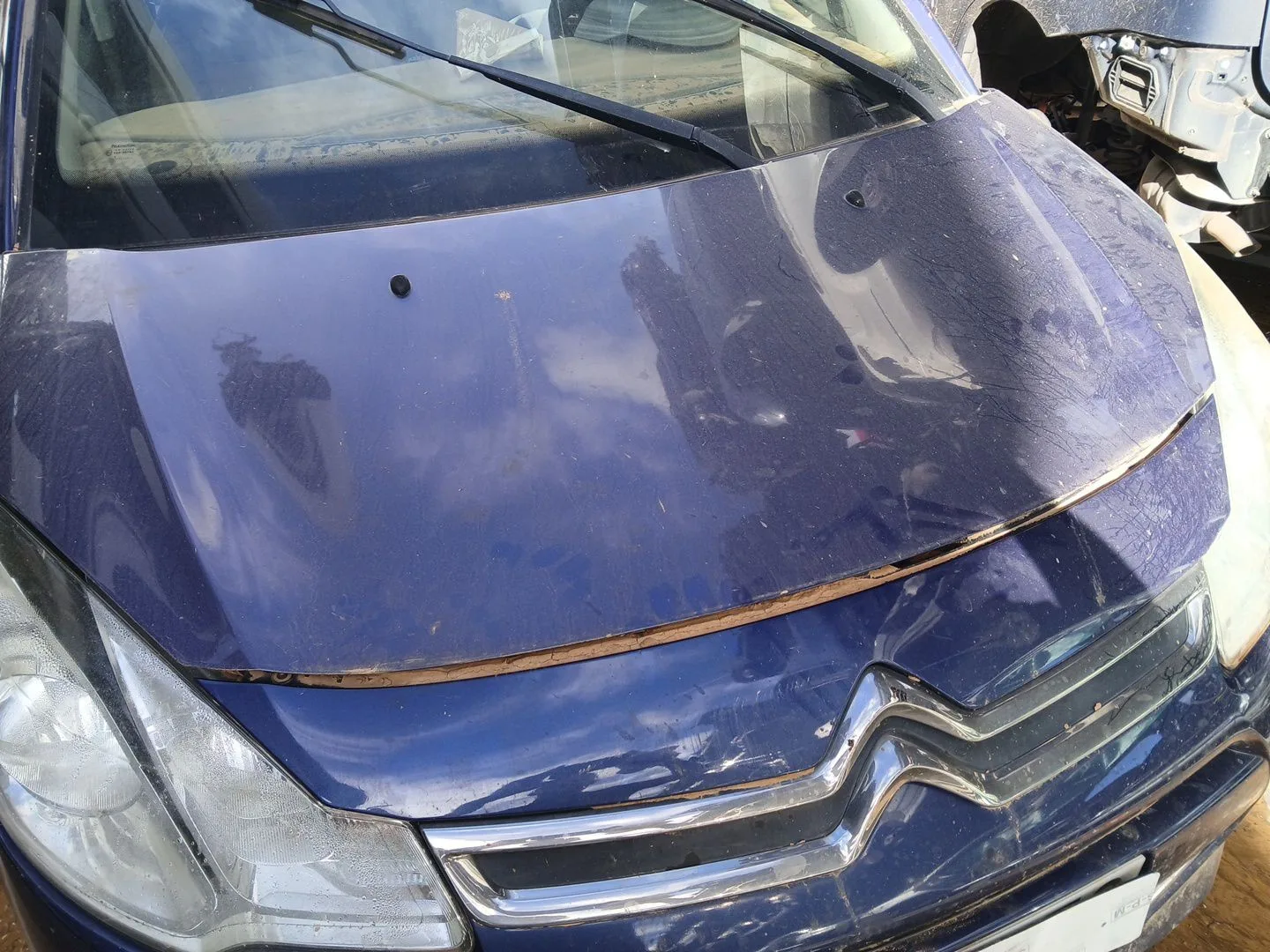 Capot para Citroën C3 Ii (Sc_)