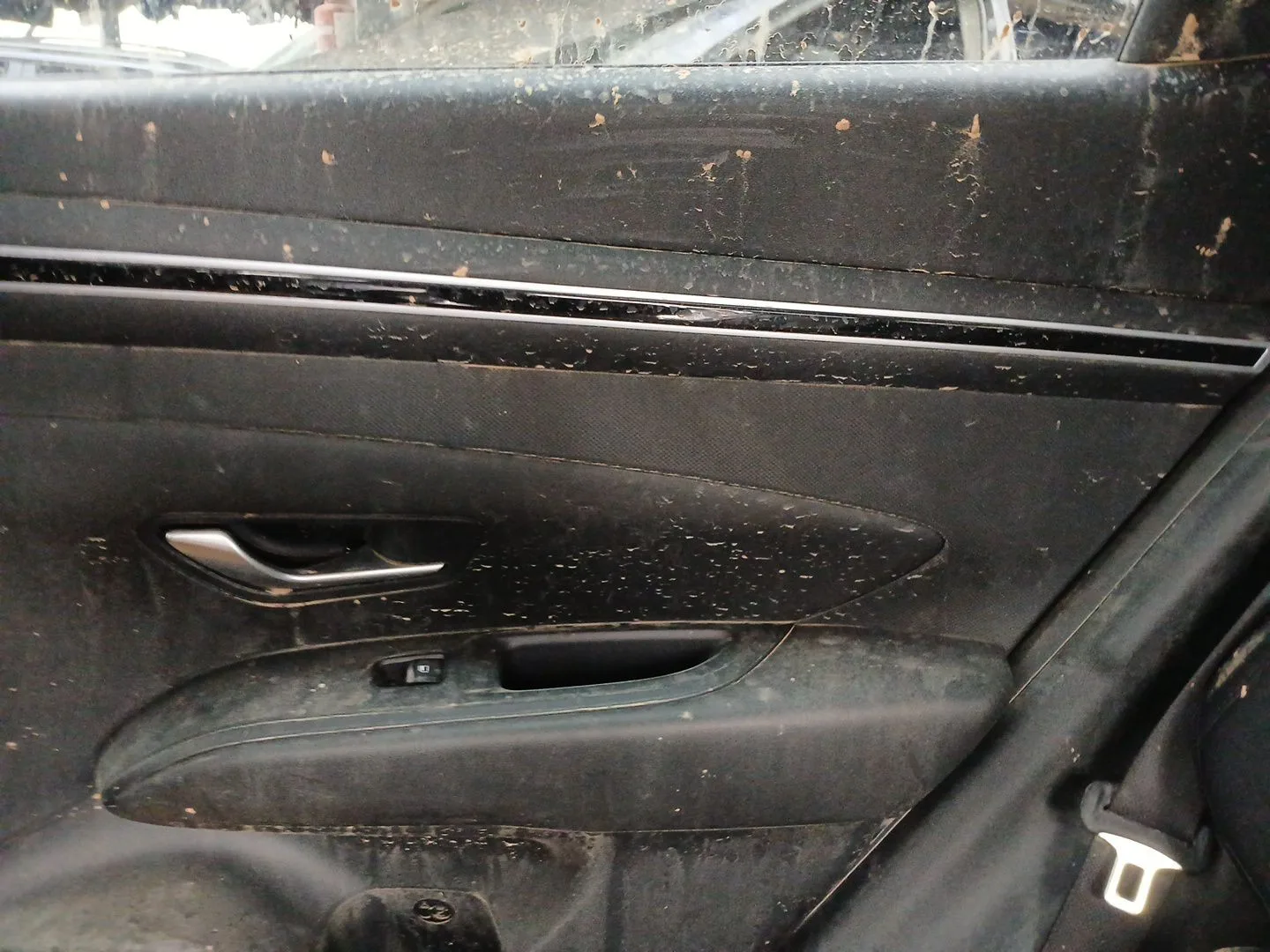 Guarnecido Puerta Trasera Derecha para Hyundai Tucson (Nx4E, Nx4A)