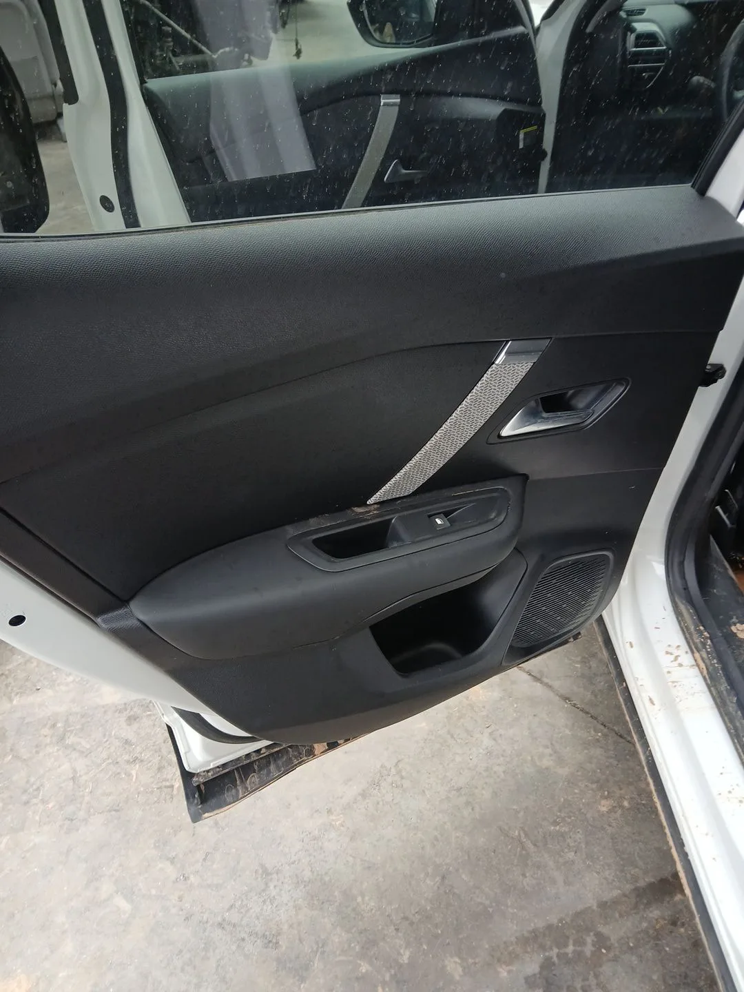 Guarnecido Puerta Trasera Izquierda para Citroën C4 Iii (Ba_, Bb_, Bc_)