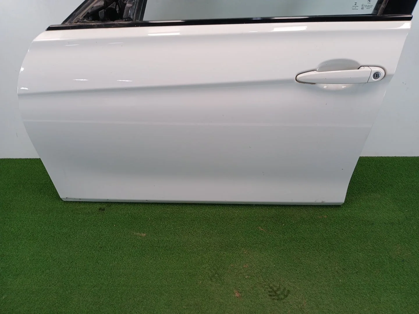 Puerta Delantera Izquierda para Bmw 3 (F30, F80)