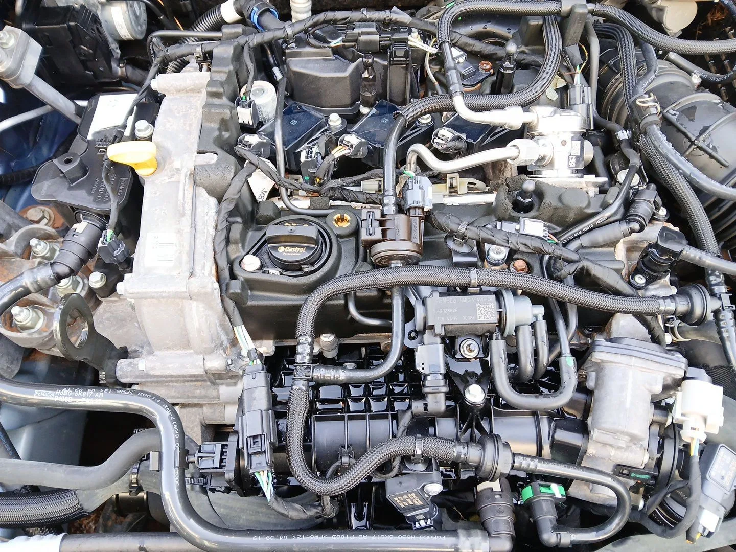 Motor Completo para Ford Focus Iv (Hn)