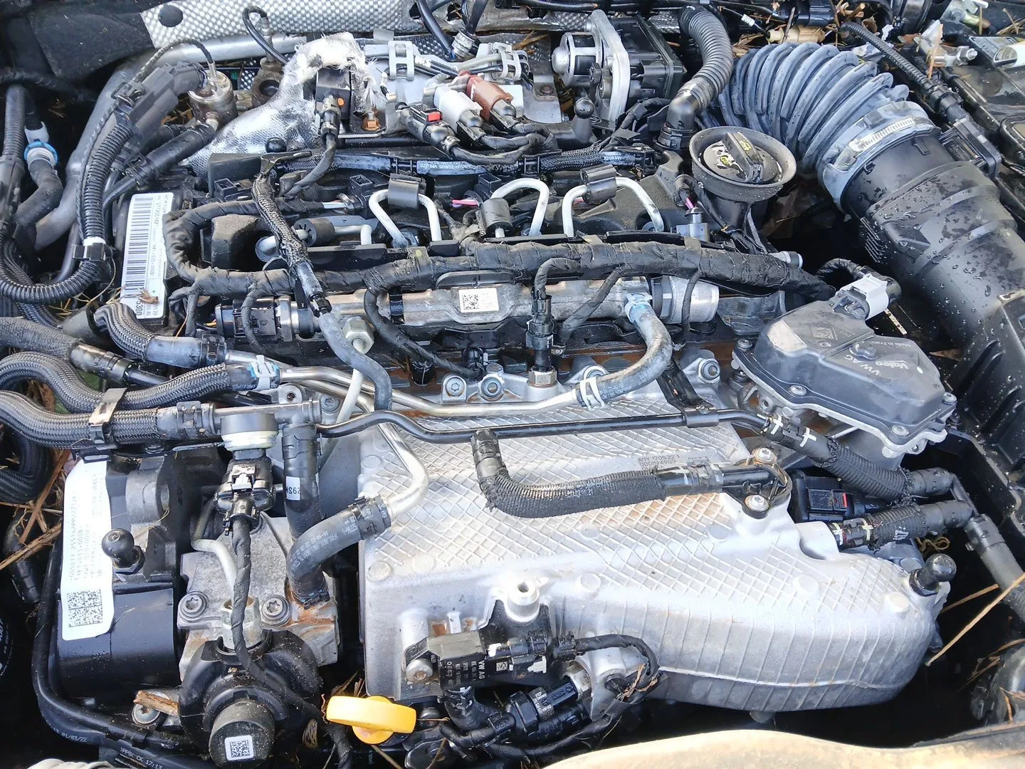 Despiece Motor para Cupra Formentor (Km7, Kmp)