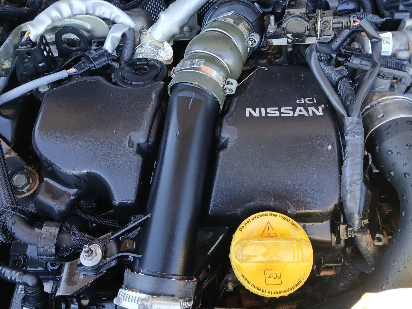 Despiece Motor para Nissan Juke (F15)