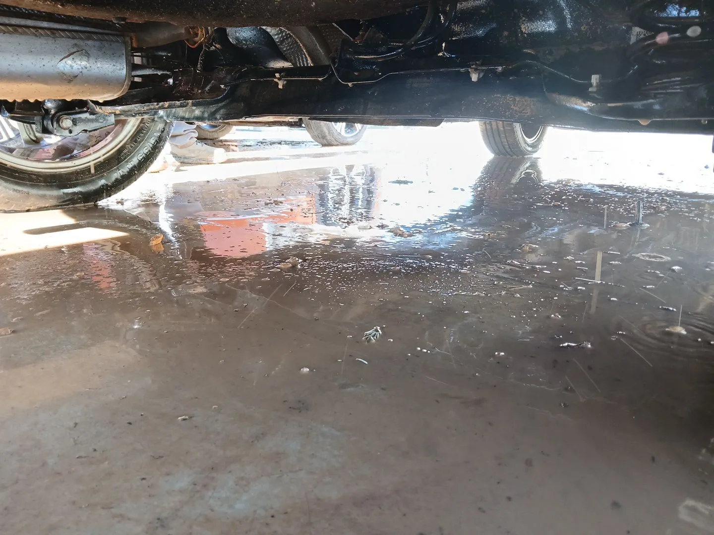 Puente Trasero para Nissan Juke (F15)