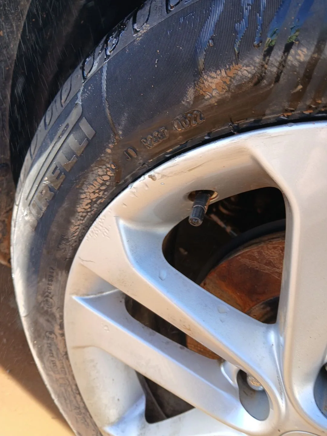 Neumatico para Nissan Juke (F15)