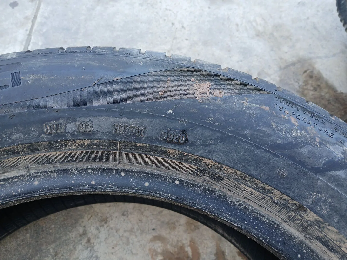 Neumatico para Volkswagen Tiguan (Ad1, Ax1)