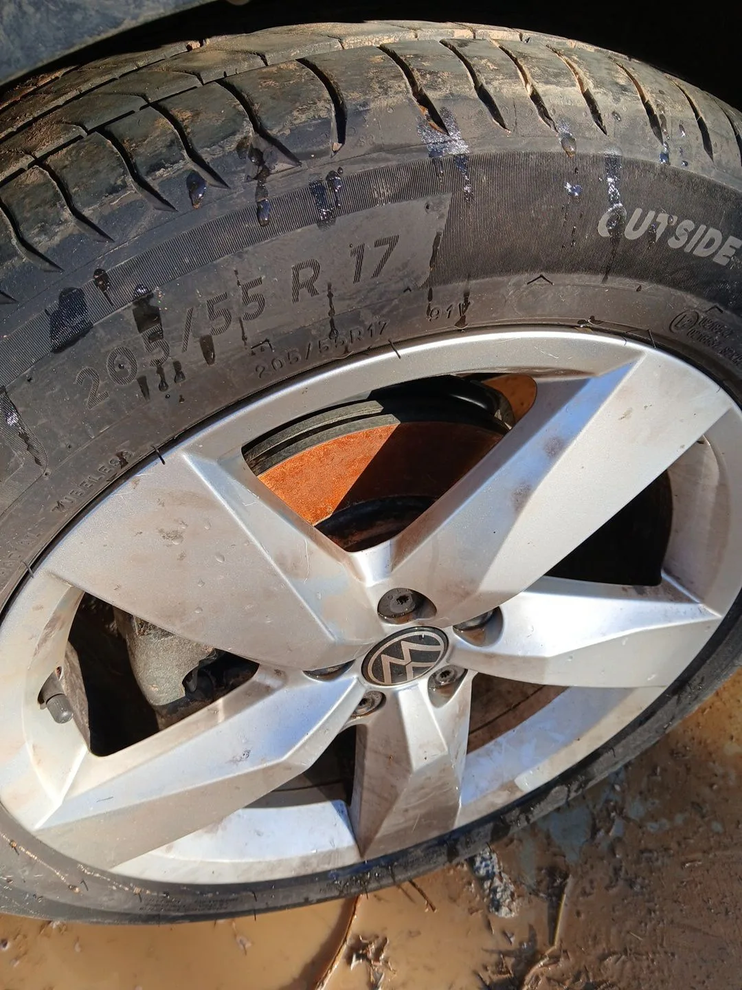 Neumatico para Volkswagen T-Cross (C11, D31)