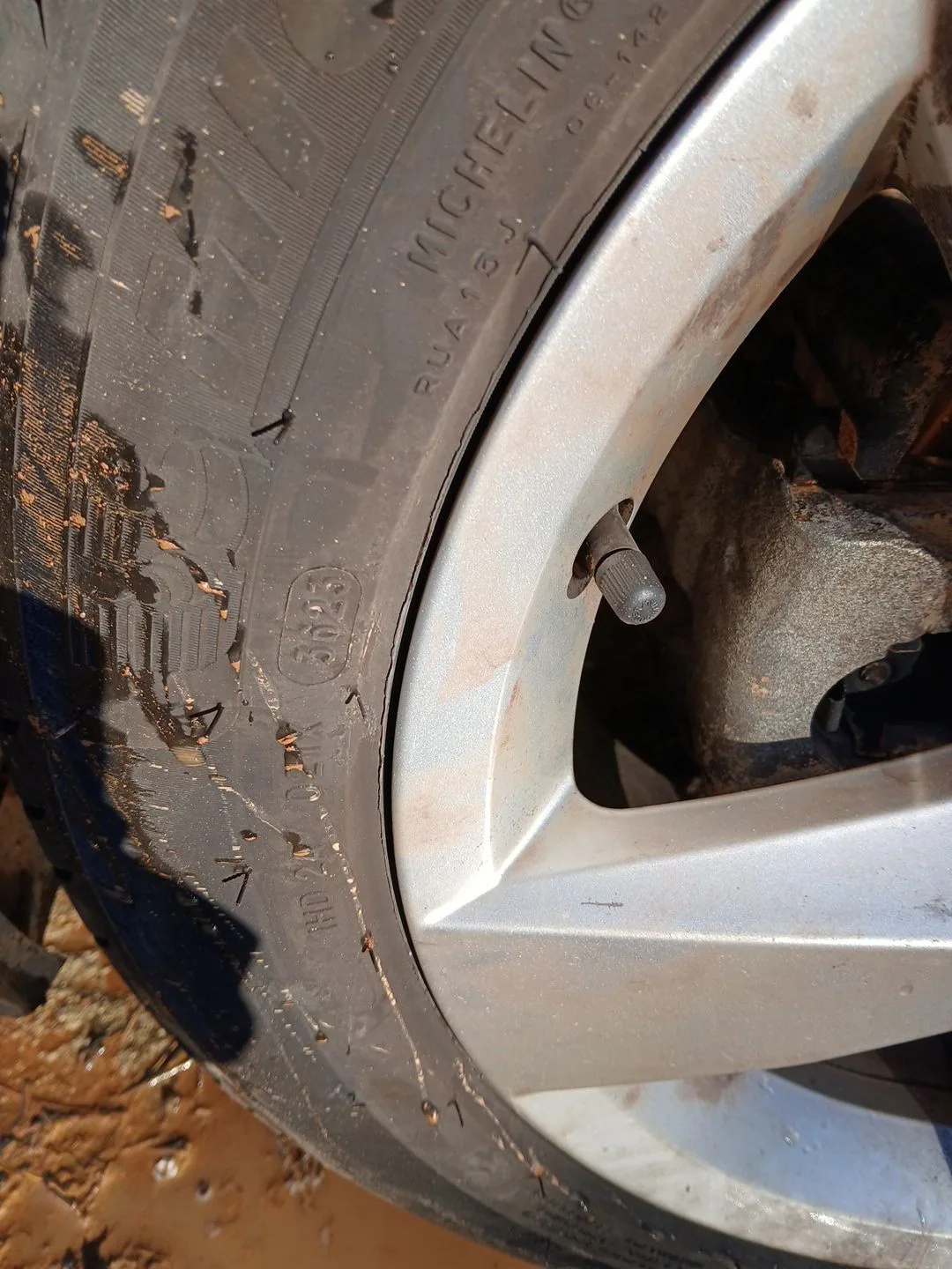 Neumatico para Volkswagen T-Cross (C11, D31)