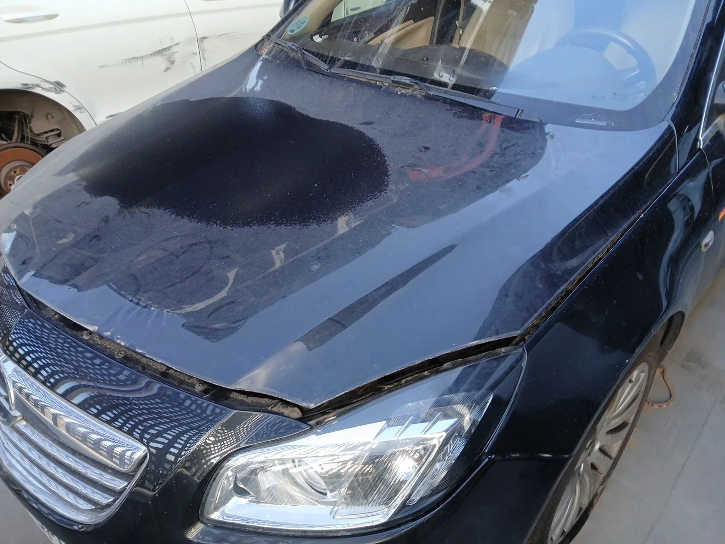 Capot para Opel Insignia A (G09)