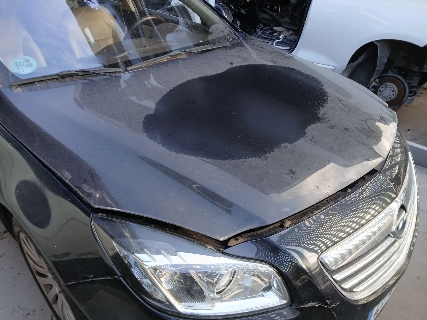 Capot para Opel Insignia A (G09)
