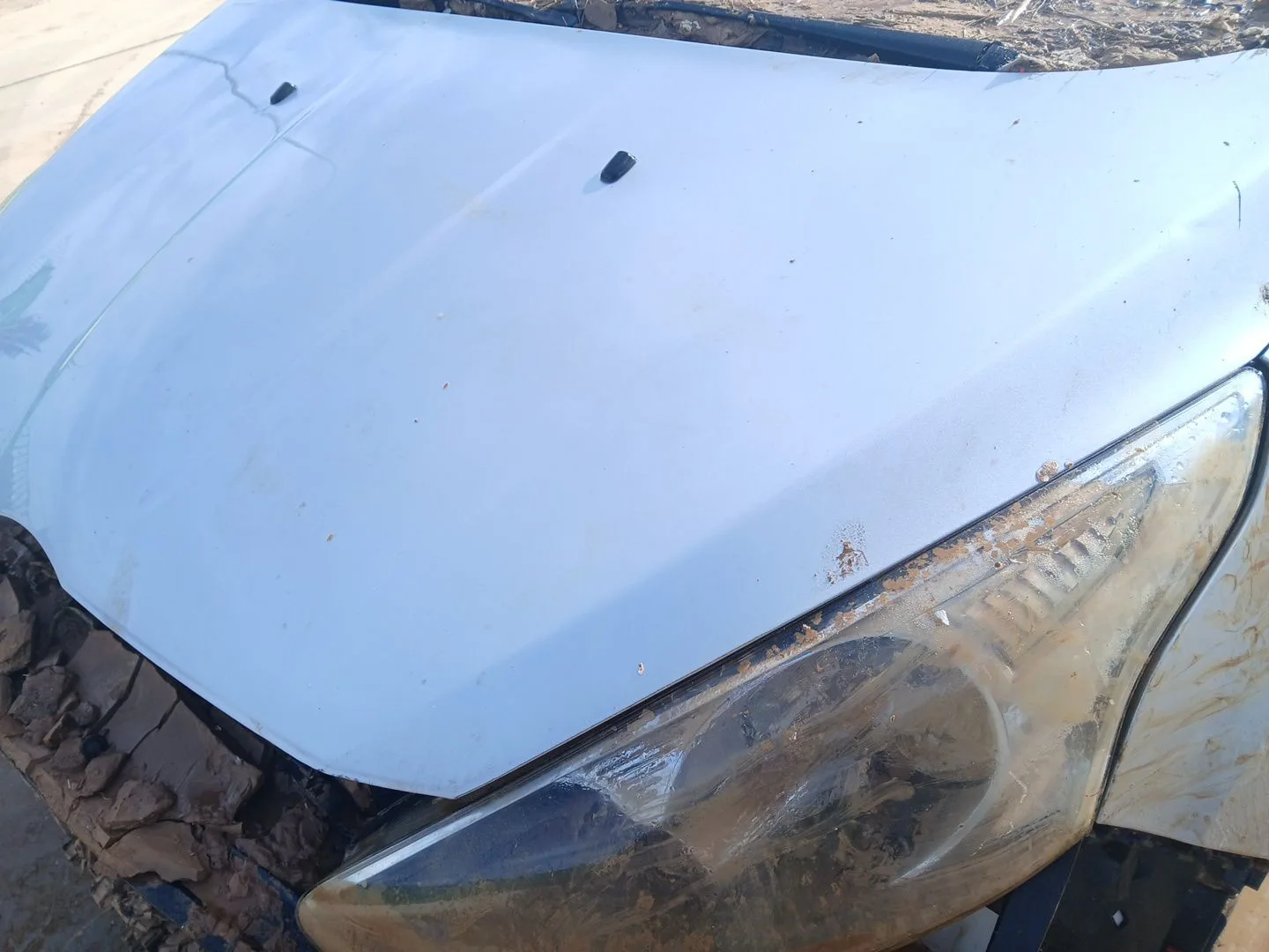 Capot para Ford B-Max (Jk)