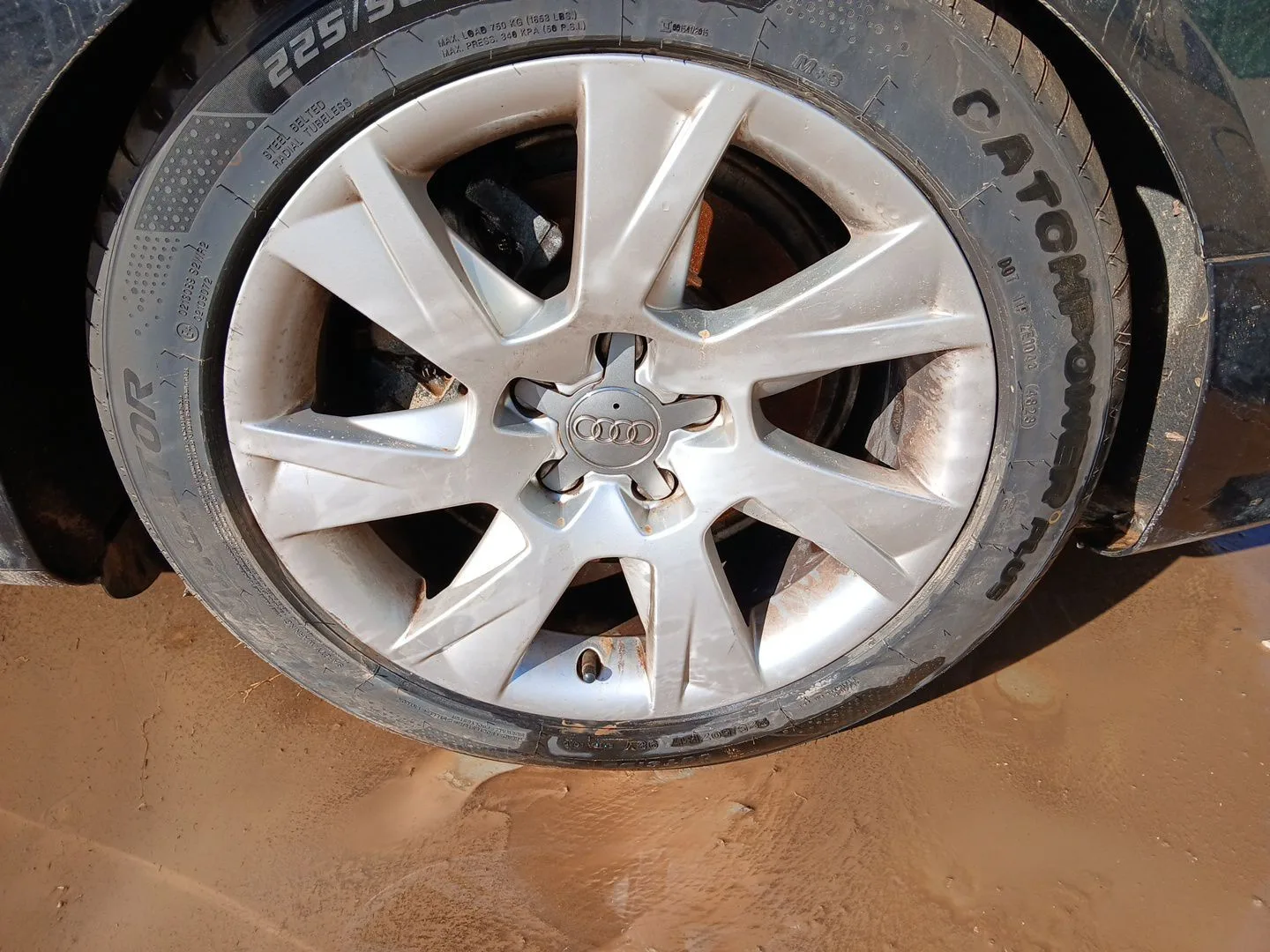Juego Llantas para Audi A5 (8T3)