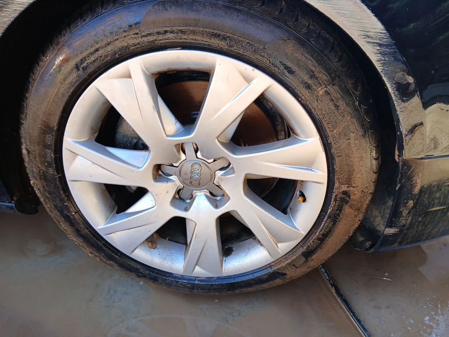 Juego Llantas para Audi A5 (8T3)