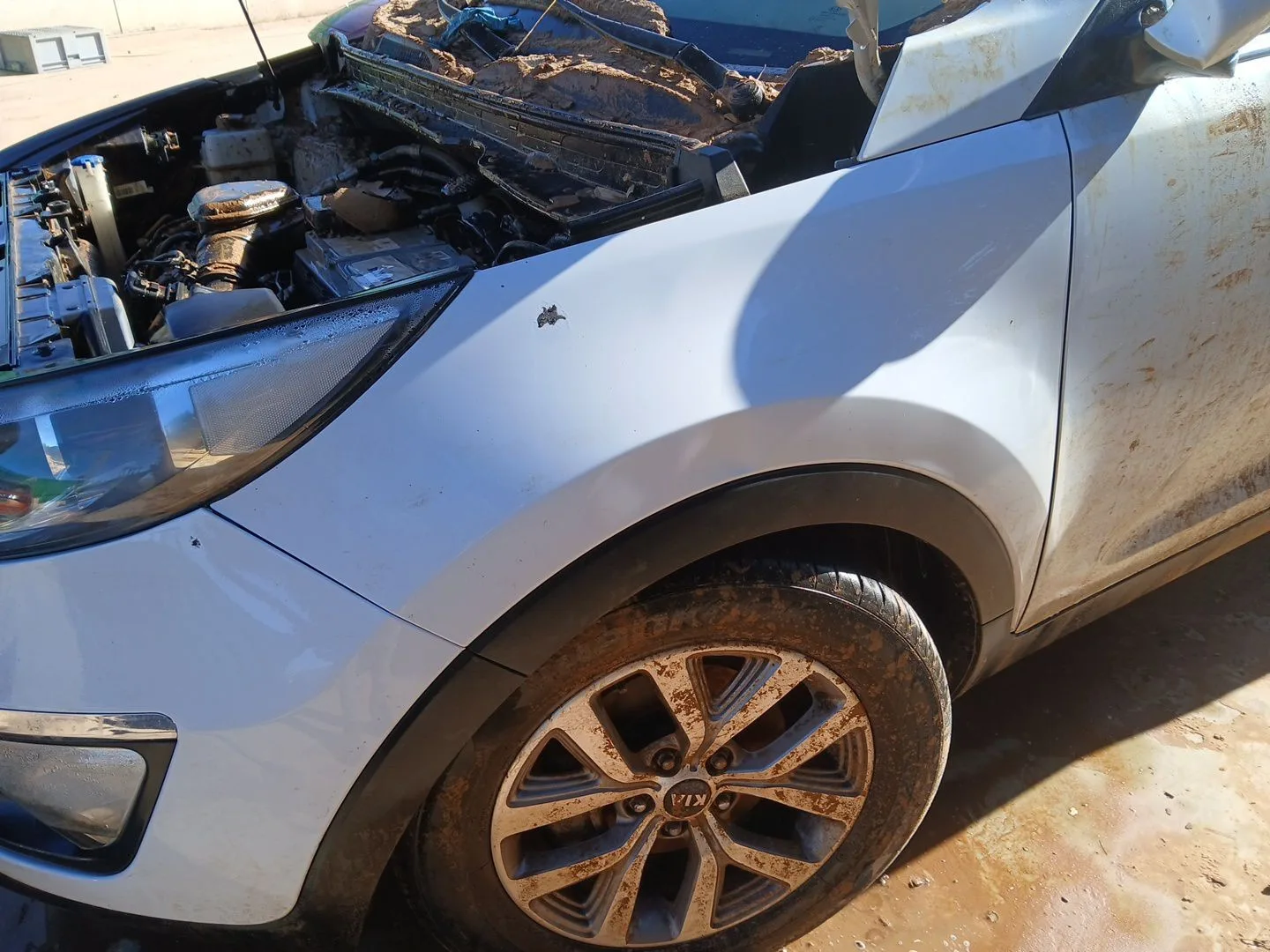 Aleta Delantera Izquierda para Kia Sportage Iv (Ql, Qle)