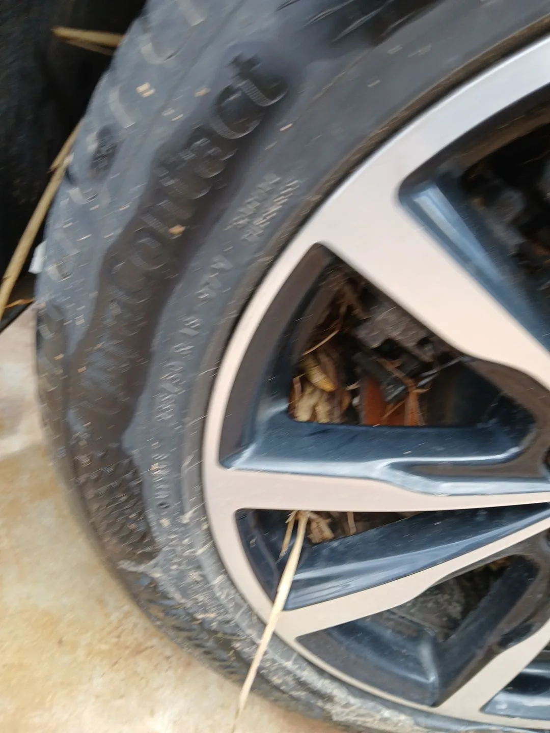 Neumatico para Ford Kuga Ii (Dm2)