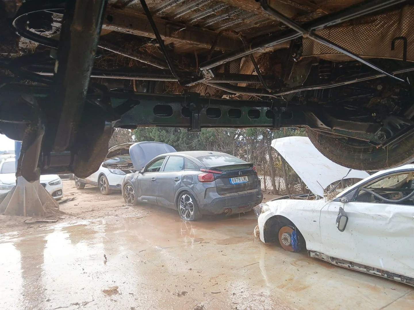 Puente Trasero para Fiat Talento Furgoneta (296_)