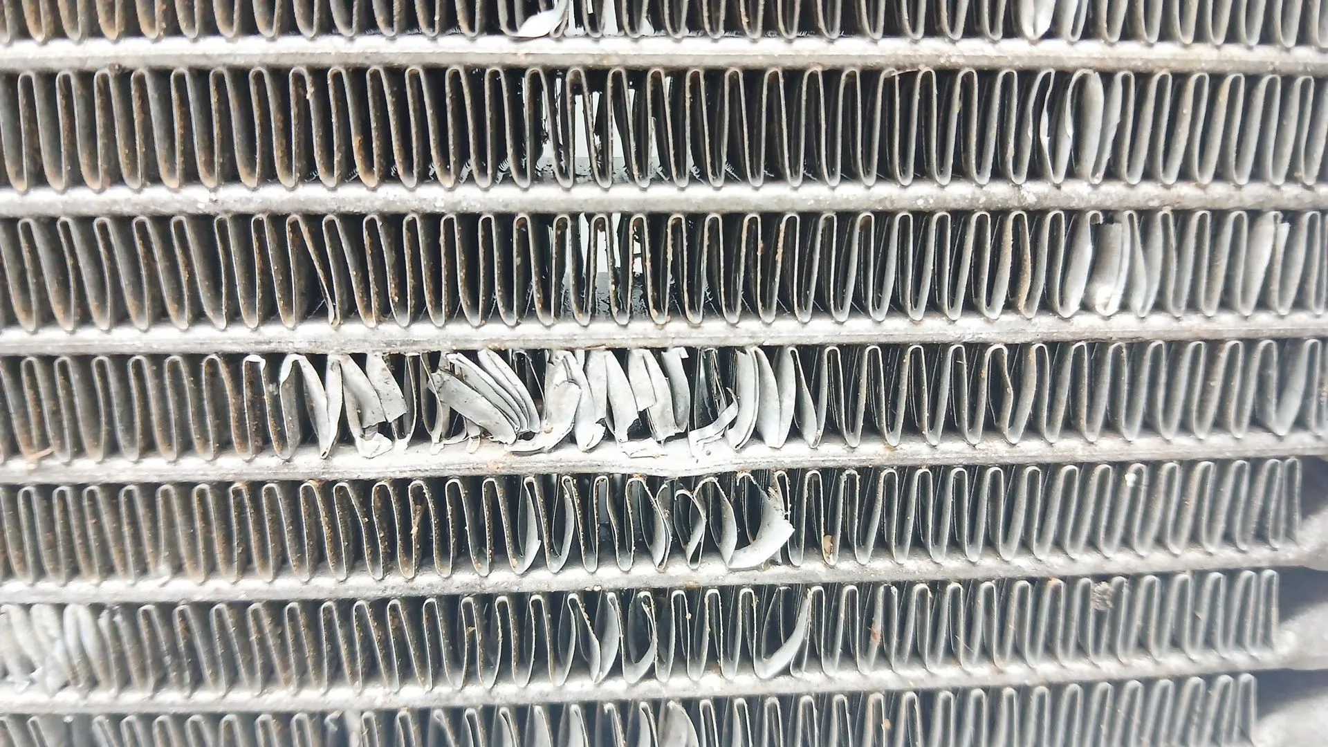 Radiador Agua para Bmw 1 (F21)