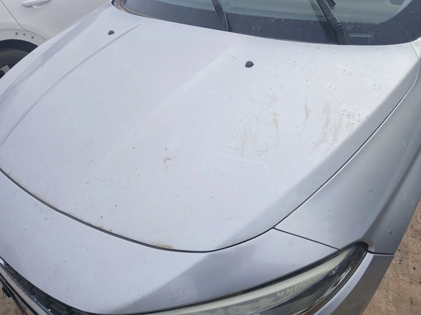 Capot para Fiat Tipo Sedan (356_, 357_)
