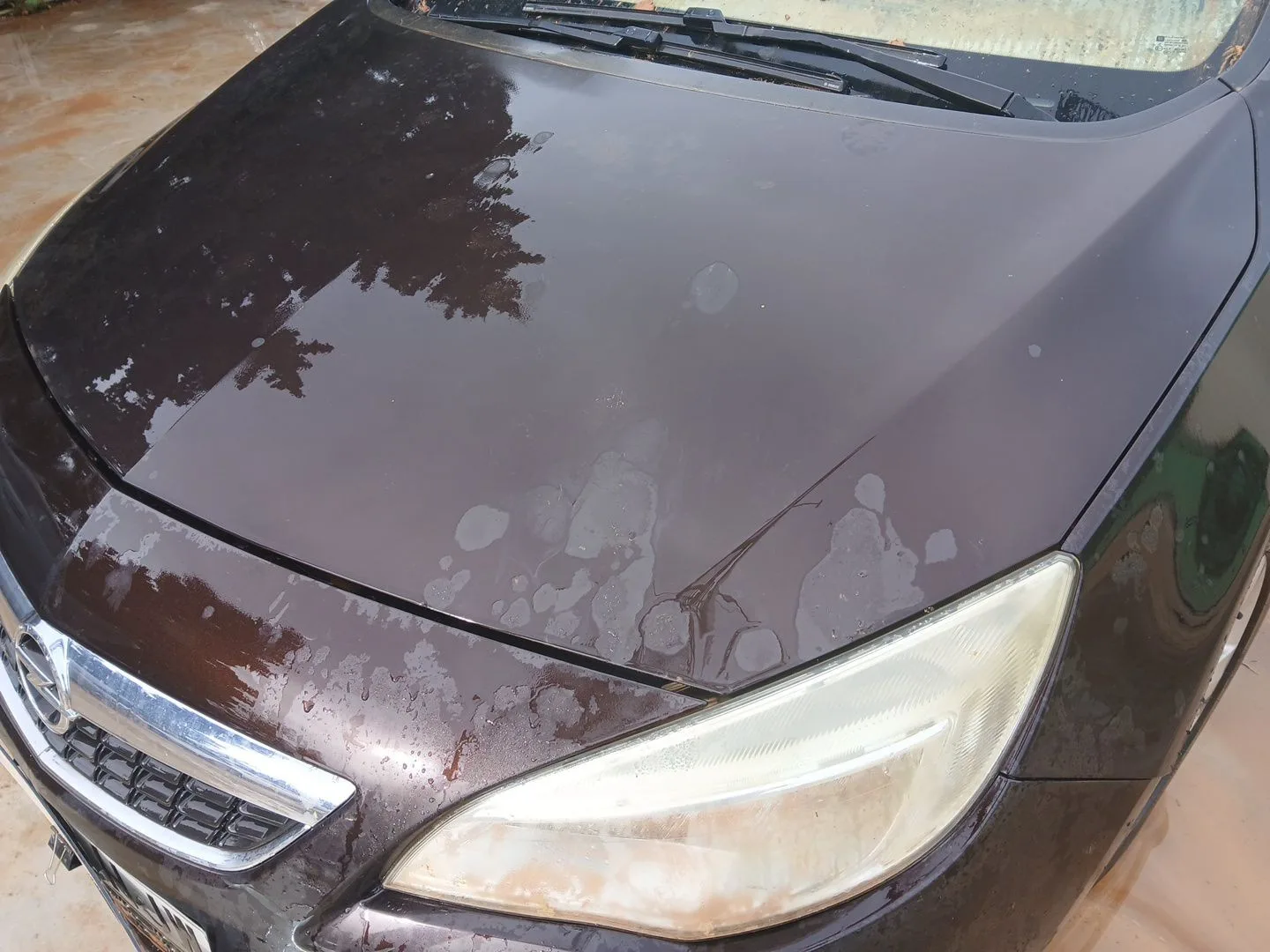 Capot para Opel Astra J (P10)