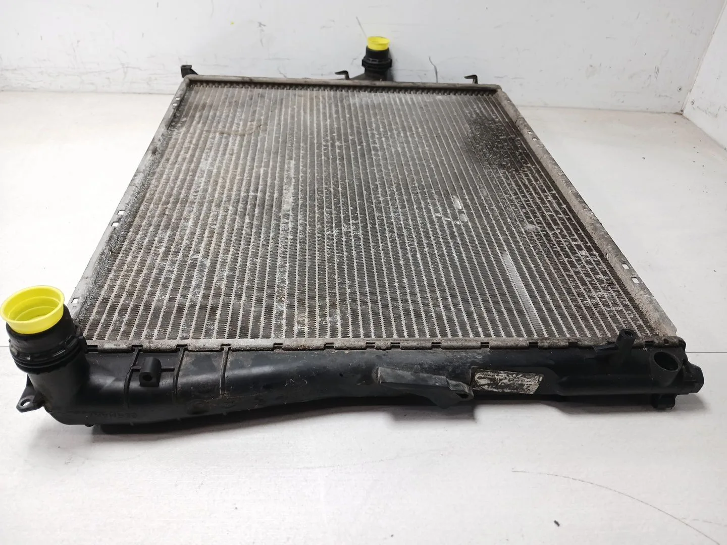 Radiador Agua para Bmw X3 (E83)