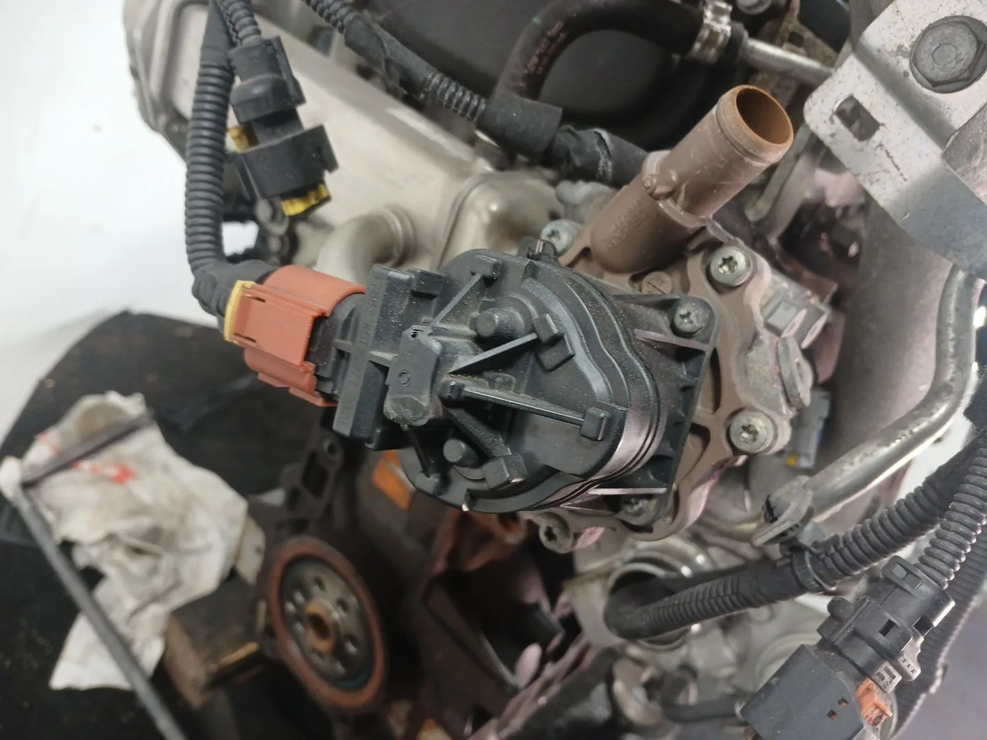 Valvula Egr para Fiat Ducato Caja/Chasis (250_)