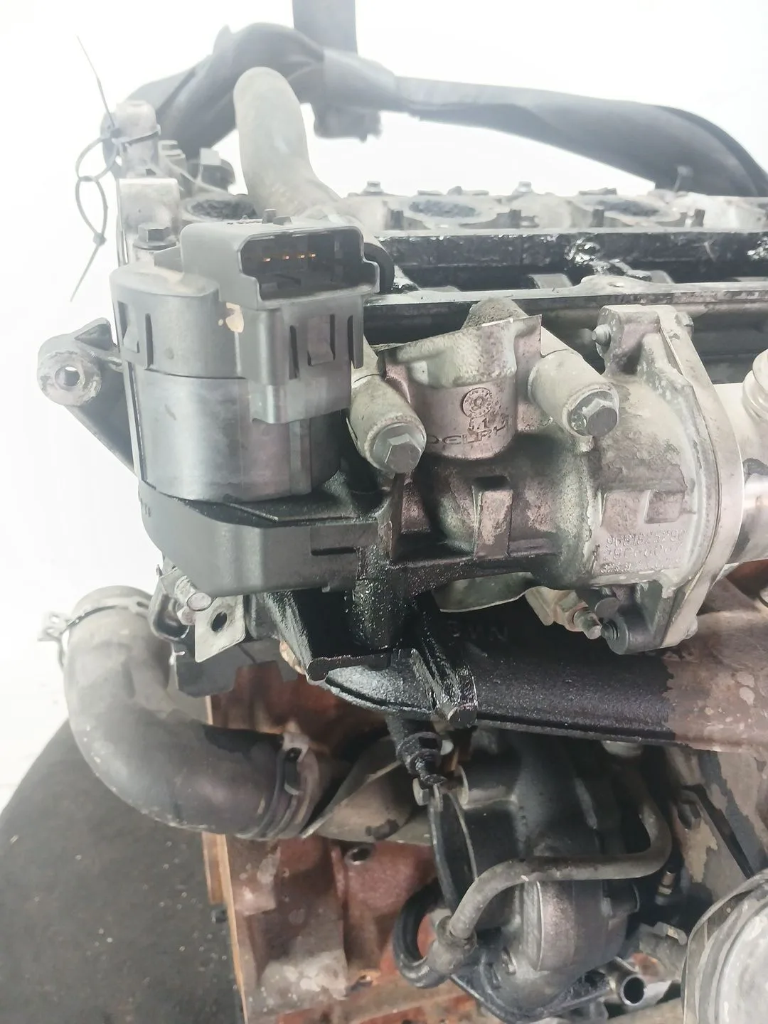 Valvula Egr para Ford Focus Berlina (Cap)