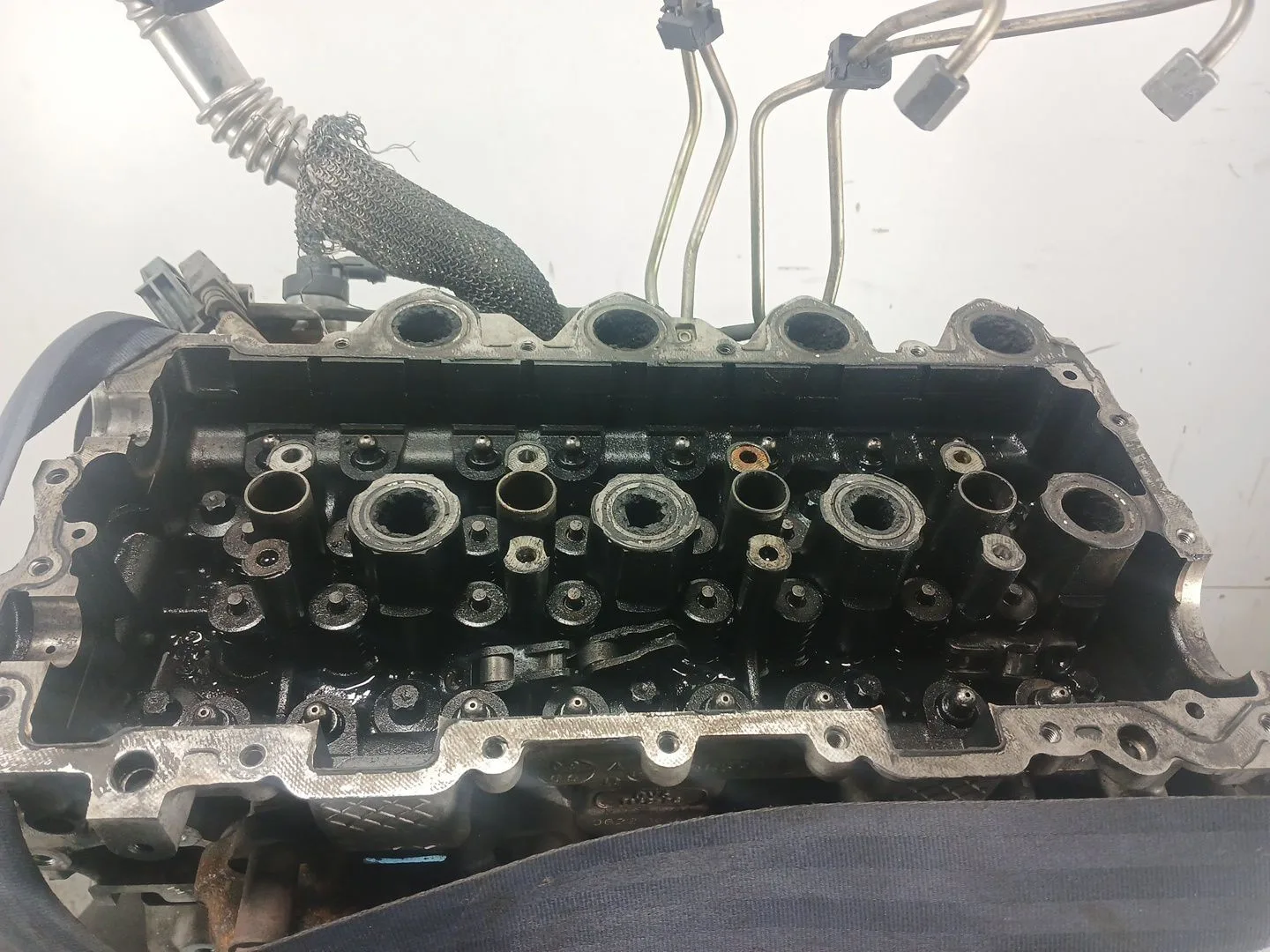 Culata para Ford Focus Berlina (Cap)