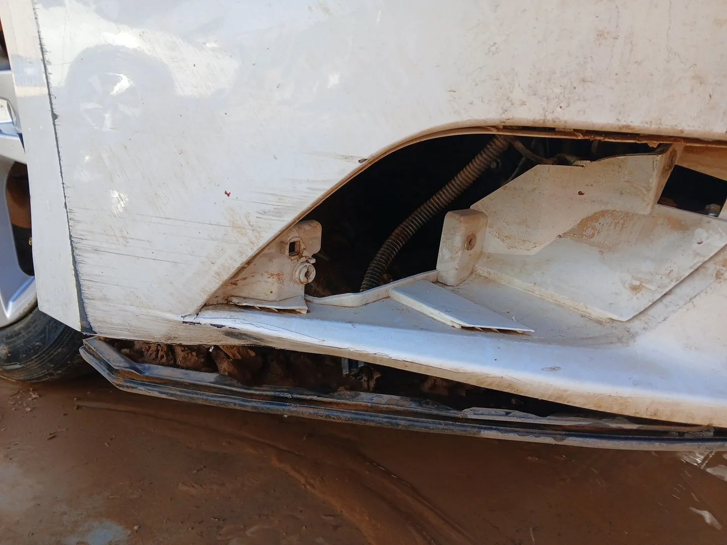 Paragolpes Delantero para Seat Leon (5F1)