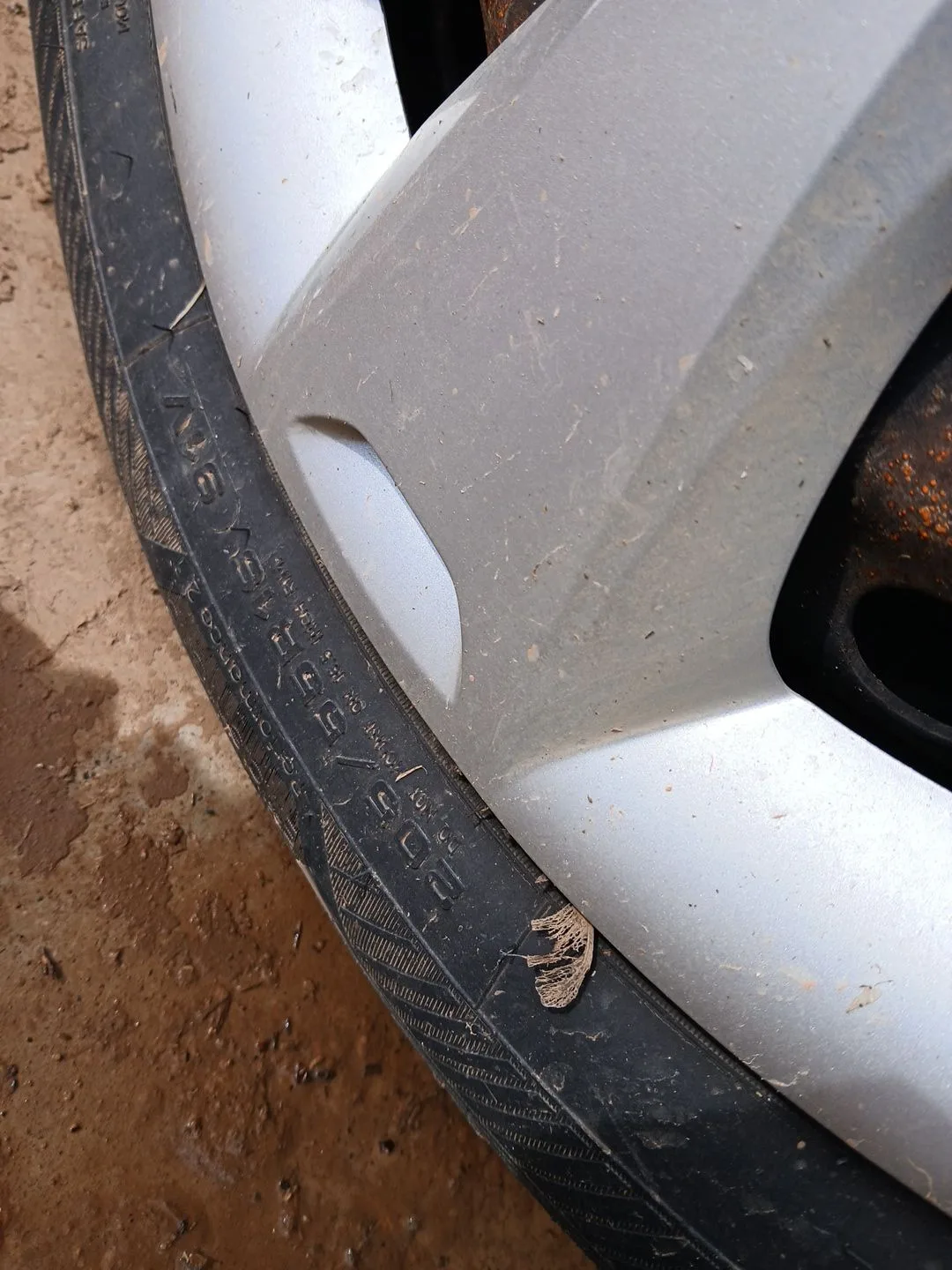 Neumatico para Ford Focus Iii
