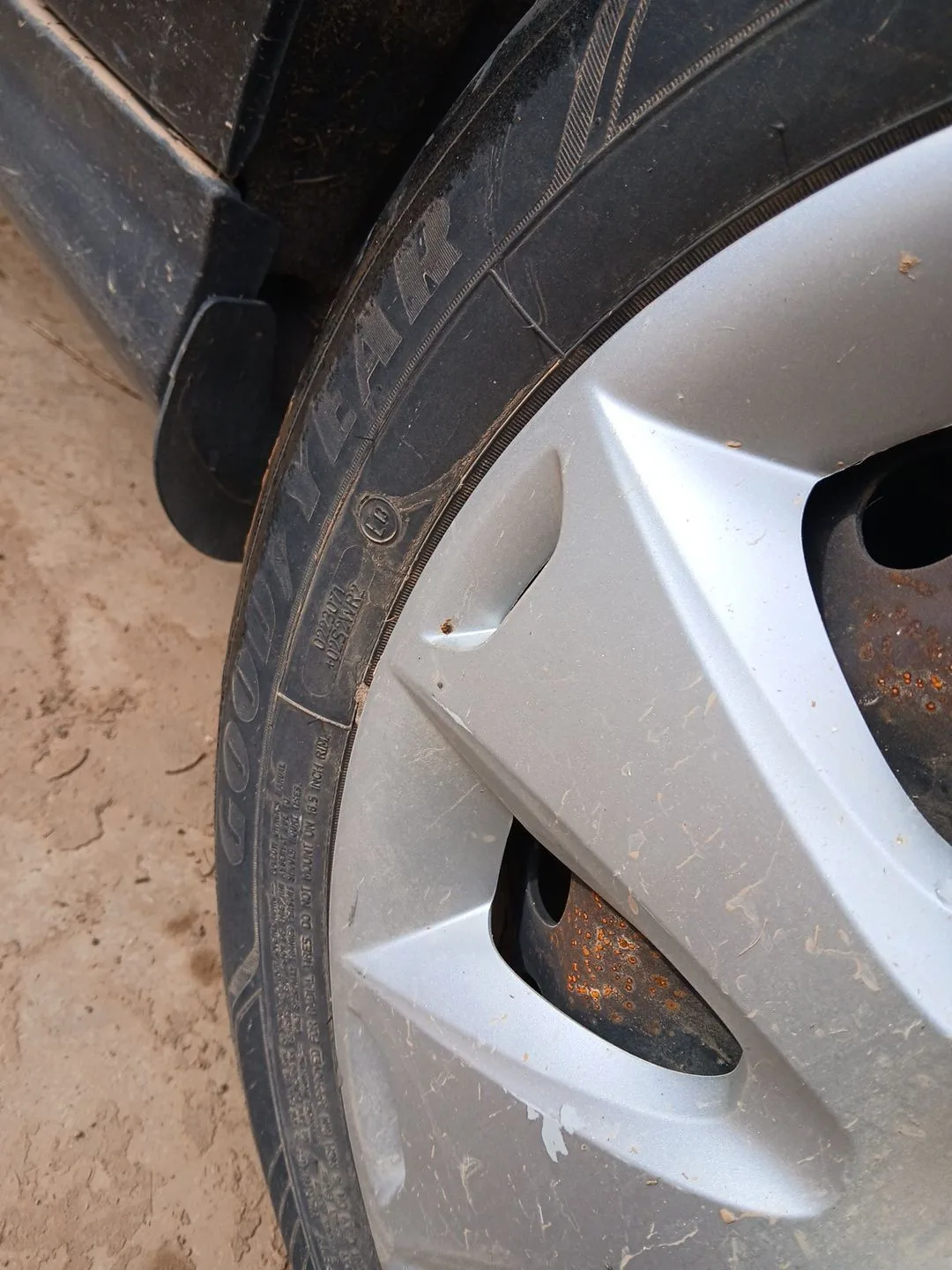 Neumatico para Ford Focus Iii