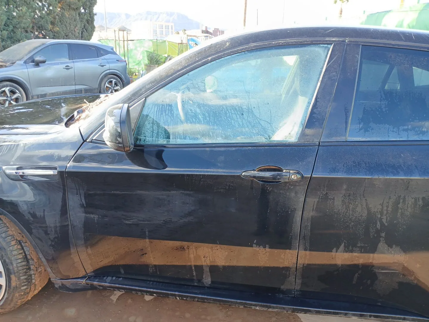 Puerta Delantera Izquierda para Bmw X6 (E71, E72)