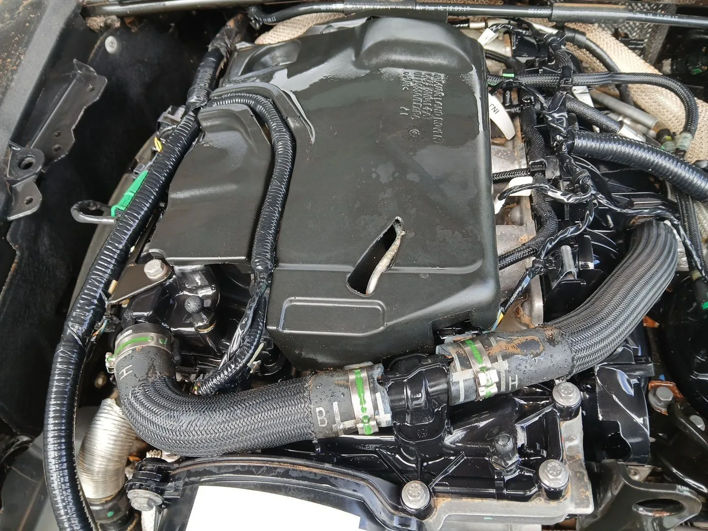 Motor Completo para Jaguar Xf I (X250)