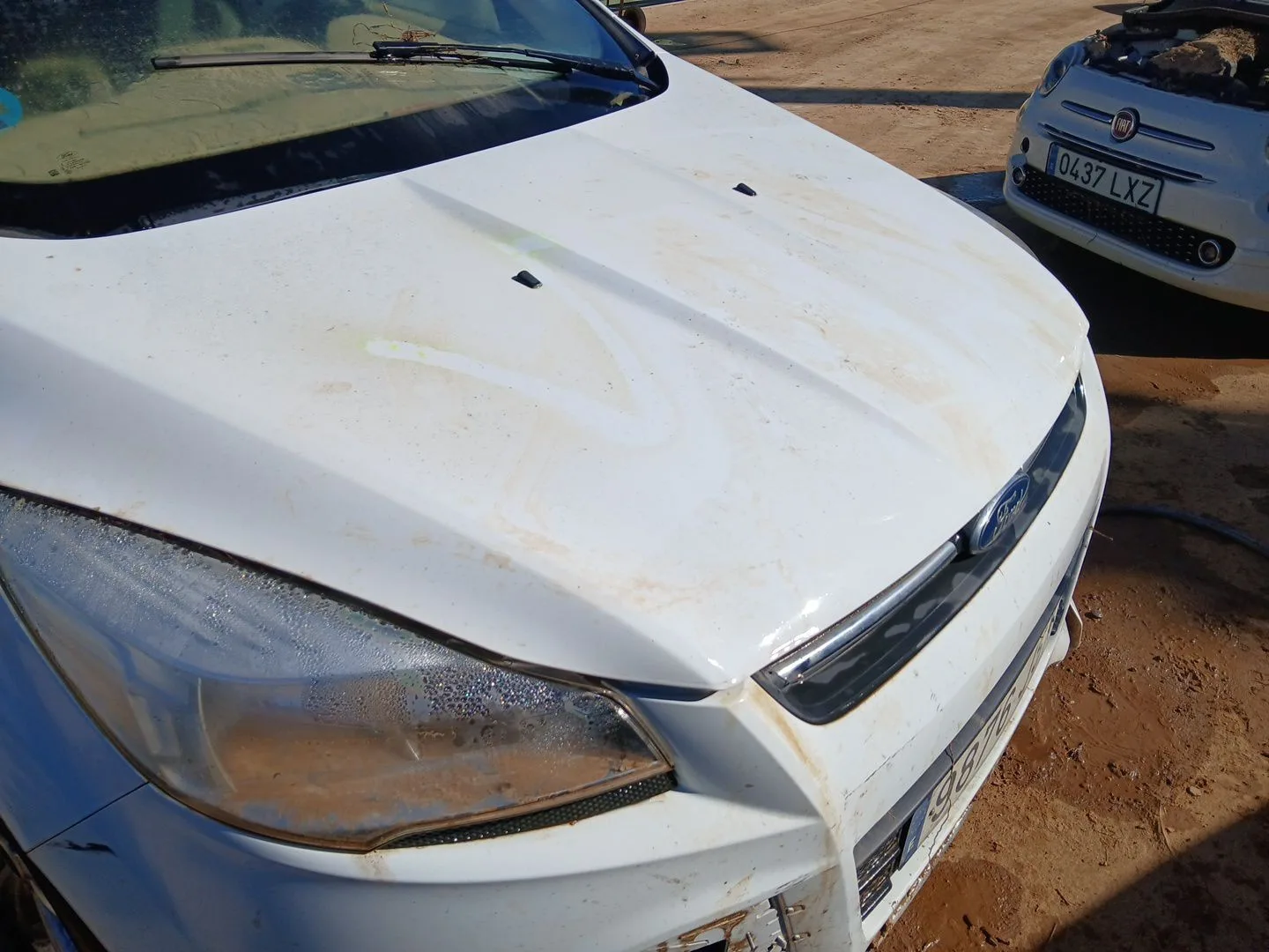 Capot para Ford Kuga Ii (Dm2)