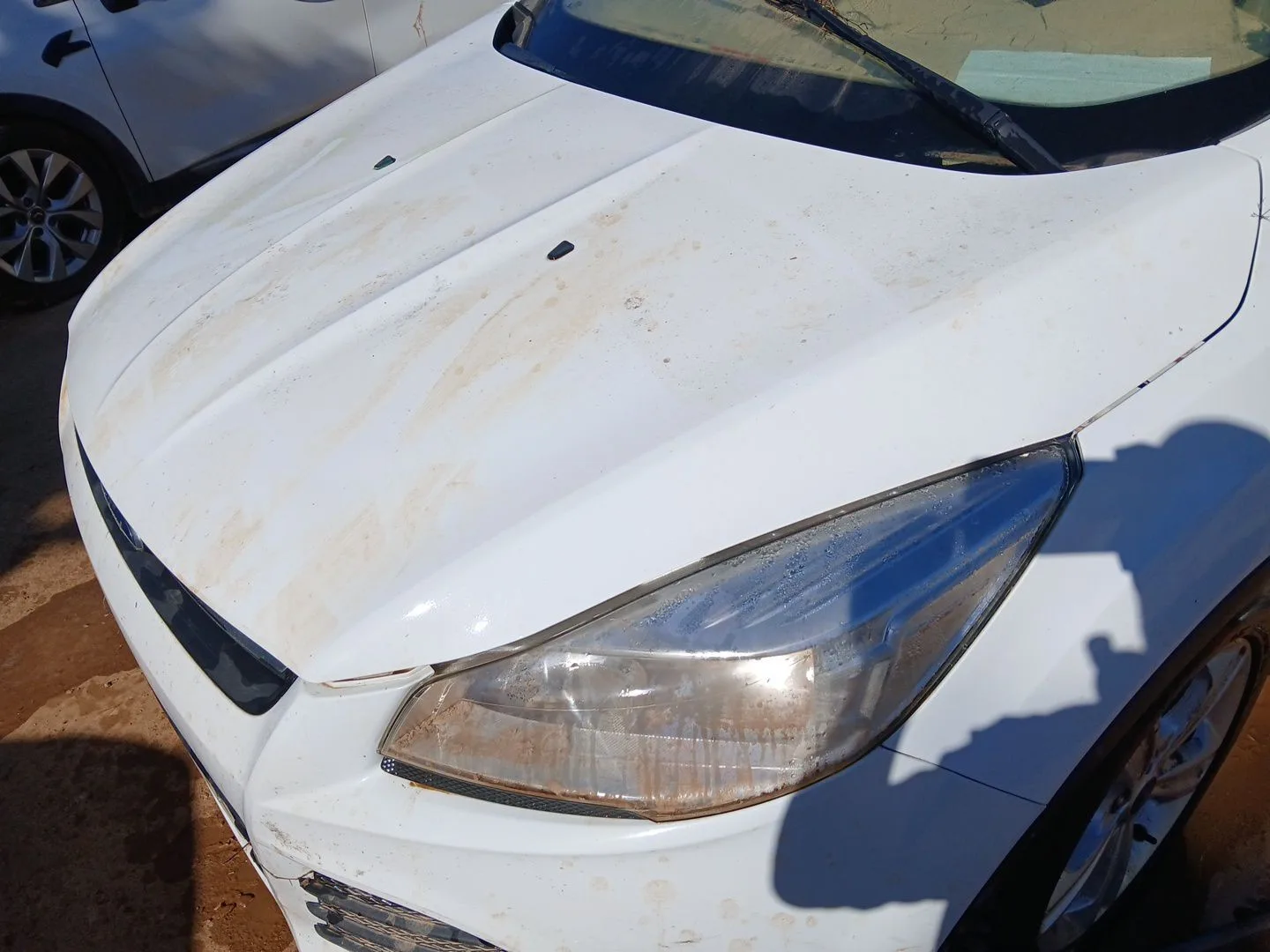 Capot para Ford Kuga Ii (Dm2)