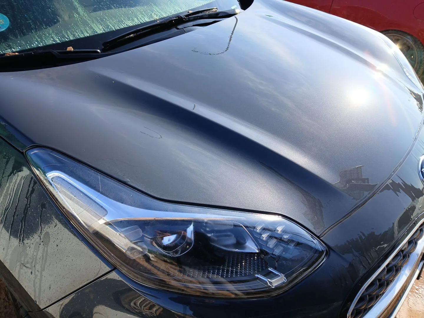 Capot para Kia Sportage Iv (Ql, Qle)