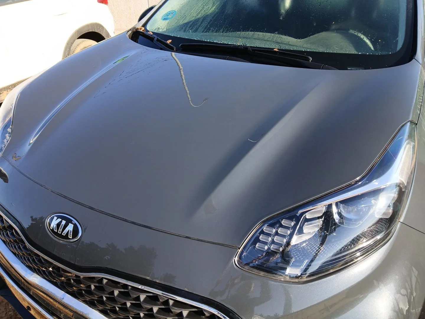 Capot para Kia Sportage Iv (Ql, Qle)
