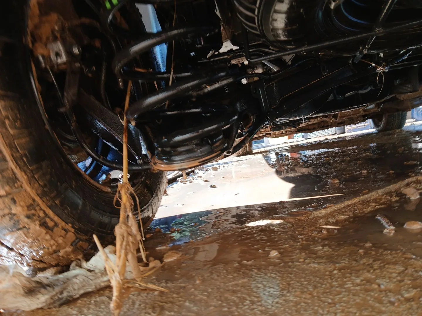 Puente Trasero para Peugeot Expert Furgoneta (V_)