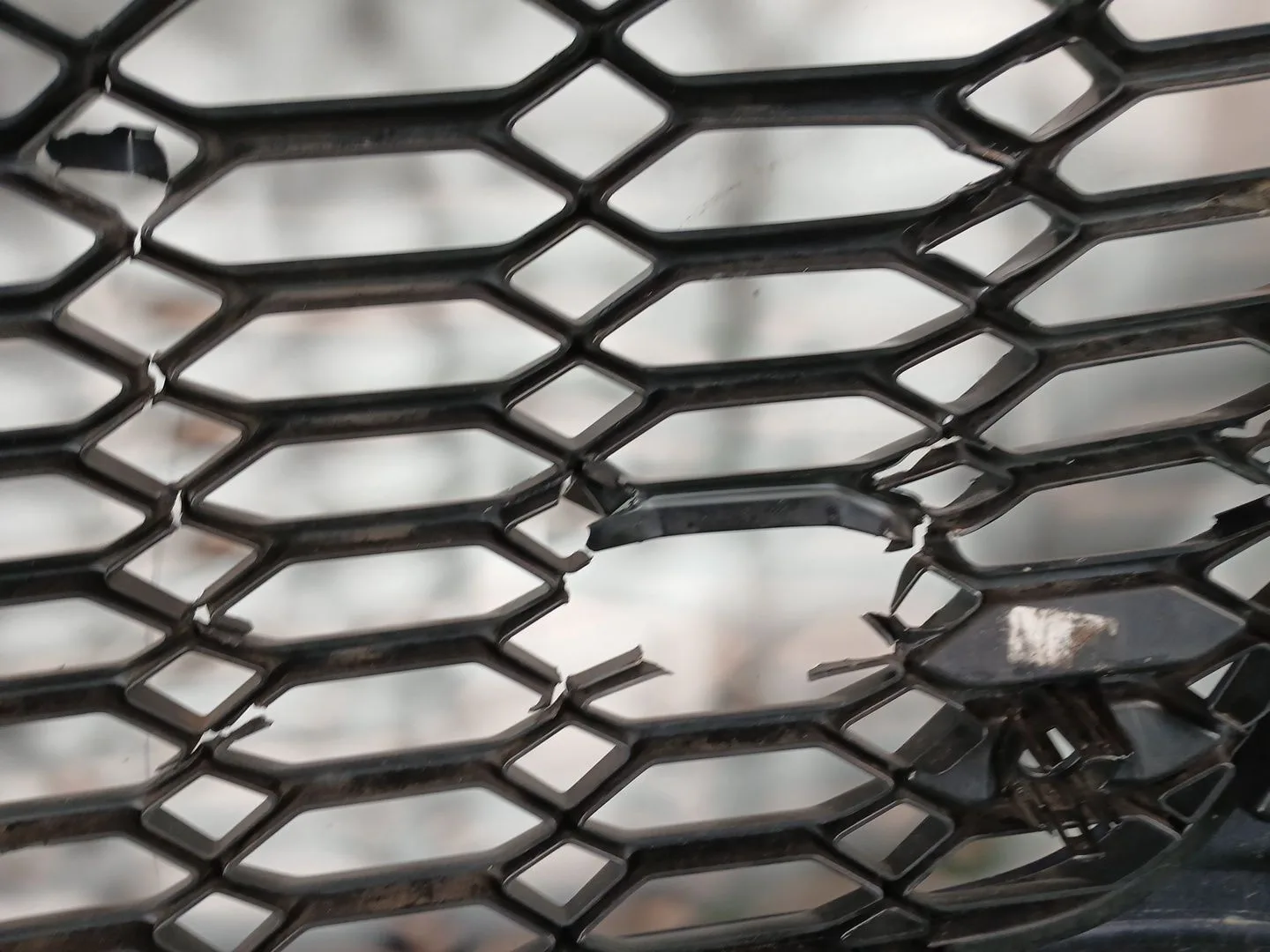 Paragolpes Delantero para Audi A5 (F53, F5P)