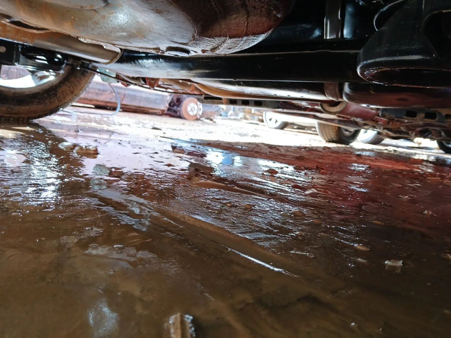 Puente Trasero para Seat Ibiza Iv (6J5, 6P1)