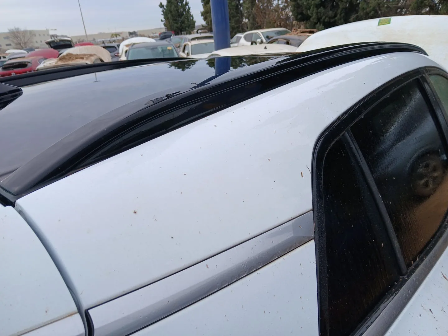 Barras Techo para Kia Sportage V (Nq5)