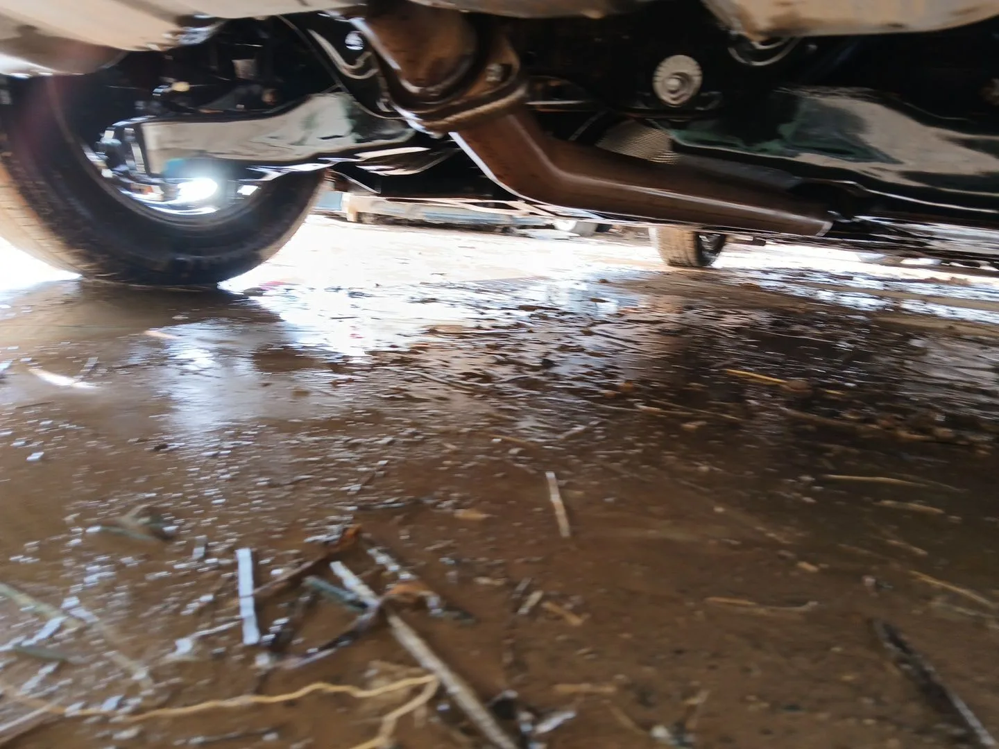 Puente Trasero para Mazda 3 Sedan (Bm_, Bn_)