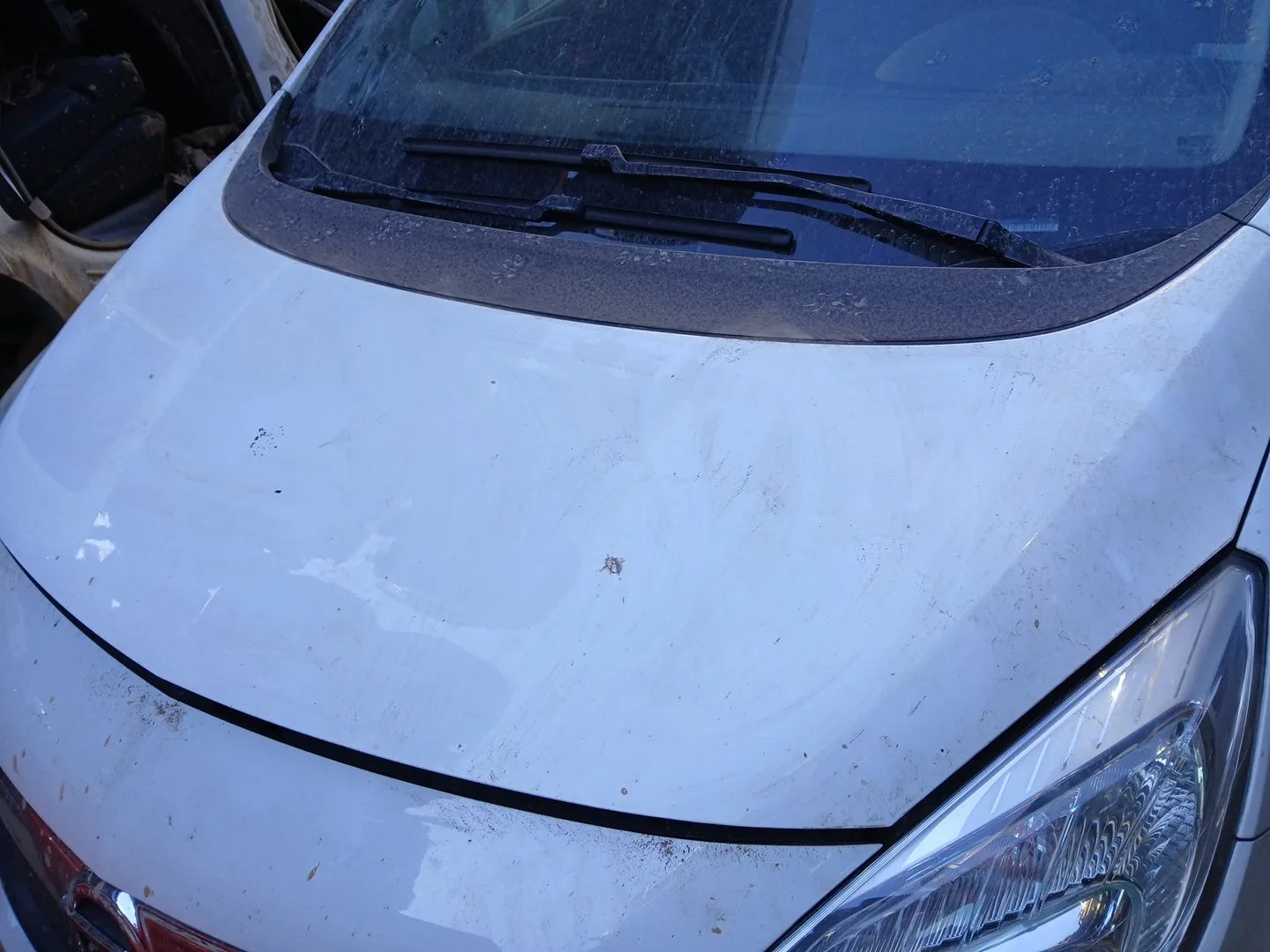 Capot para Opel Meriva B Monospace (S10)