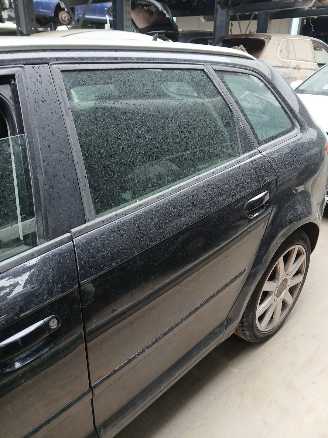 Puerta Trasera Izquierda para Audi A3 (8P1)