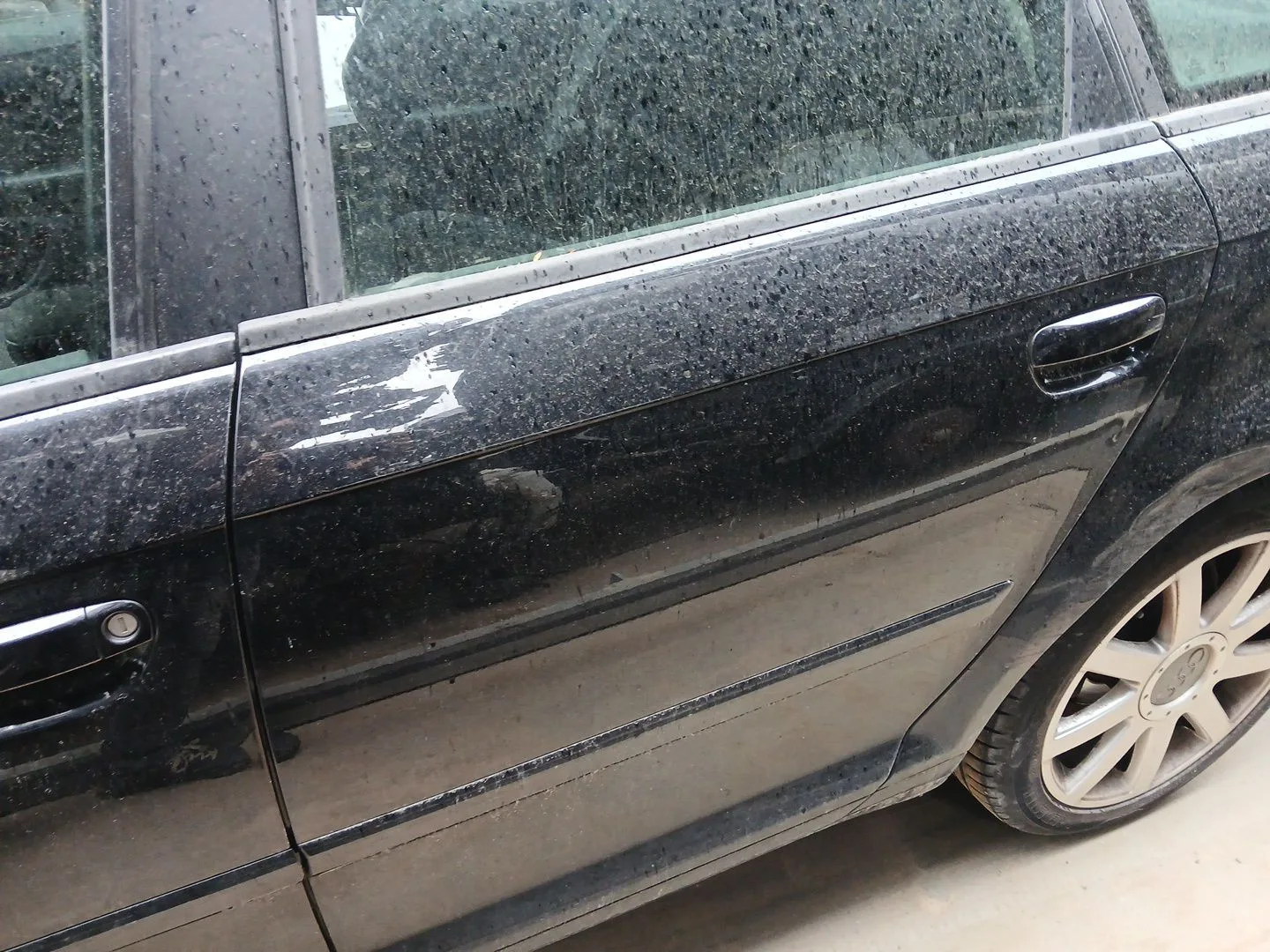 Puerta Trasera Izquierda para Audi A3 (8P1)