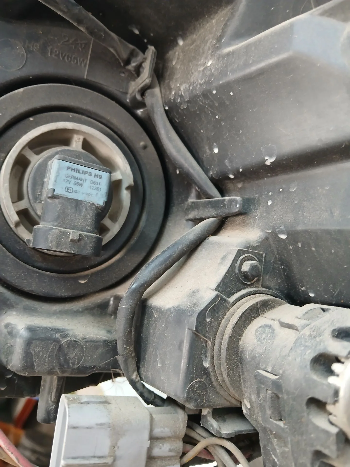 Faro Derecho para Subaru Tribeca (B9)