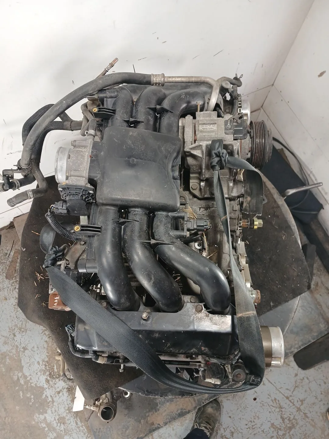 Despiece Motor para Subaru Tribeca (B9)